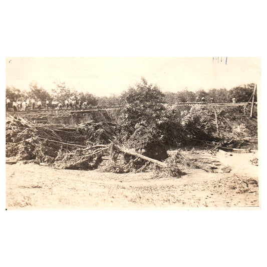 Downed Trees Near White Haven PA 1917 - Original Postcard RPPC TJ8-4