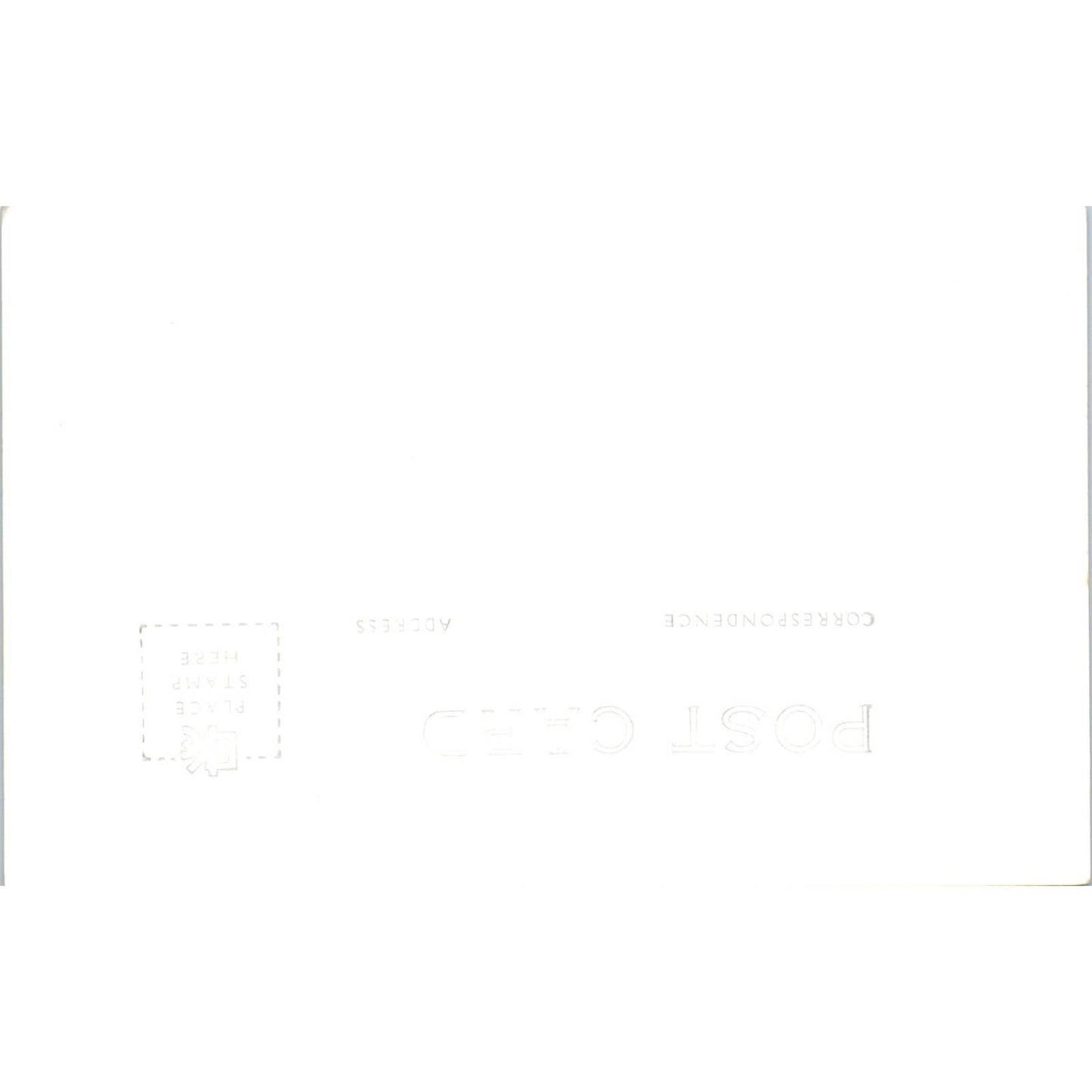 Bull Elk Redwood Highway California RPPC Original Postcard TK1-27