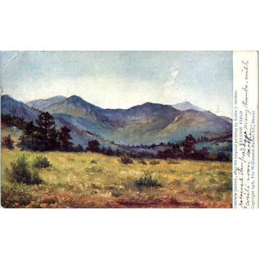 A Yellow Field Leslie J. Skelton 1910 Colorado Original Postcard TK1-29