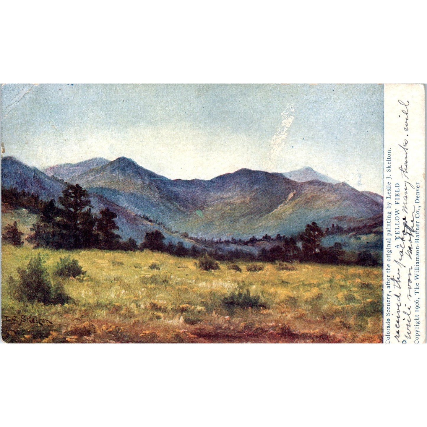 A Yellow Field Leslie J. Skelton 1910 Colorado Original Postcard P1-11